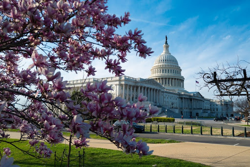 Capitol building.